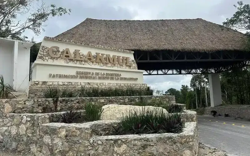 Circuito Península de Yucatán y Caribe: 14 Días de Aventura — foto 3