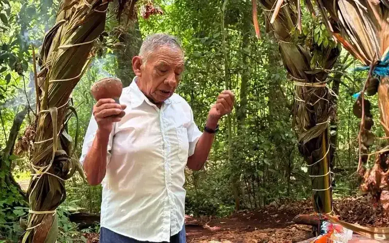 Circuito Península de Yucatán y Caribe: 14 Días de Aventura — foto 9