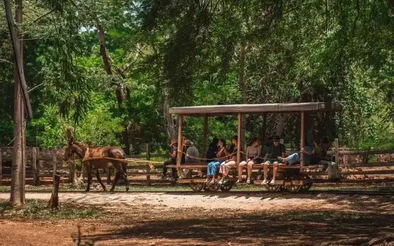 Circuito Península de Yucatán y Caribe: 14 Días de Aventura — foto 31