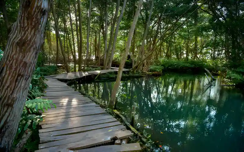 Tour a la Reserva de la Biosfera Ría Celestún desde Mérida
