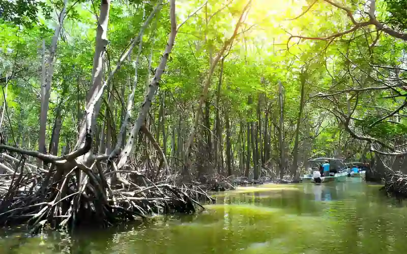 Tour a la Reserva de la Biosfera Ría Celestún desde Mérida — foto 6